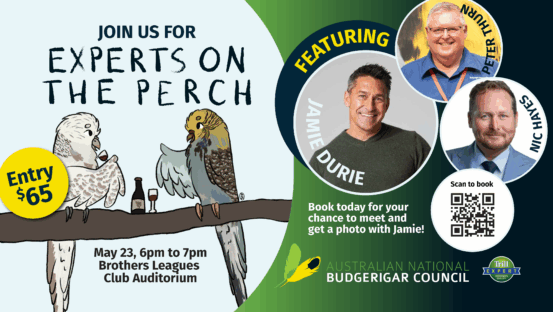 Experts on the Perch